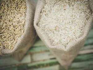 India’s export restrictions propel global rice prices: Asian exporters brace for Indonesia tender surge
